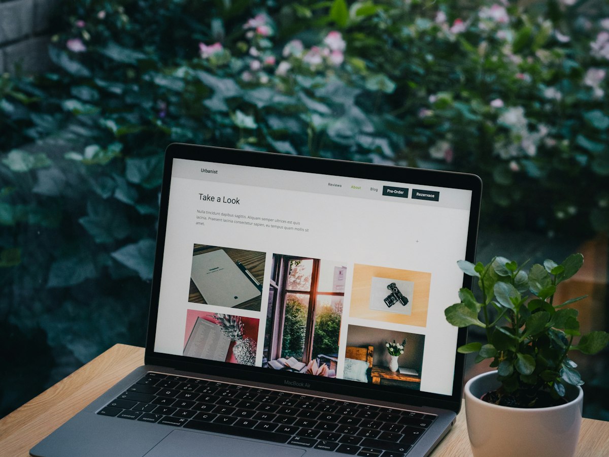 A laptop and a potted plant on an outdoor table